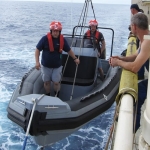 Fiberglass navy boat 6.5m